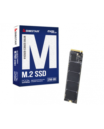 Dysk SSD Biostar M760 256GB