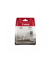 Atrament PG-37/black f IP1800 IP2500 - nr 17