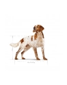 ROYAL CANIN SHN Medium Adult BF 15kg - nr 2