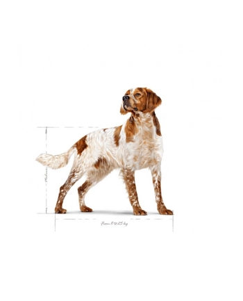 ROYAL CANIN SHN Medium Adult BF 15kg nr 2