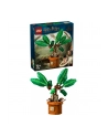 LEGO 76433 HARRY POTTER Mandragora p3 - nr 16