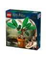 LEGO 76433 HARRY POTTER Mandragora p3 - nr 24