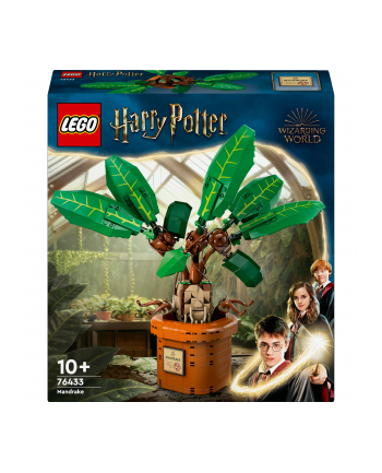 LEGO 76433 HARRY POTTER Mandragora p3 nr 1