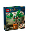 LEGO 76433 HARRY POTTER Mandragora p3 - nr 28