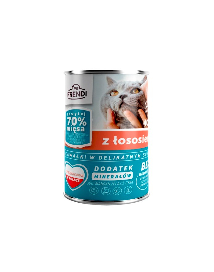 Frendi puszka dla kota z łososiem w sosie 400 g główny