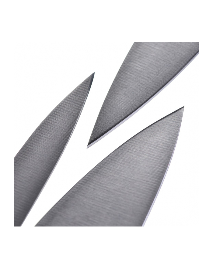 Zestaw 3 noży ZWILLING Professional S 35602-000-0 główny