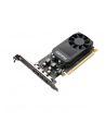 pny technologies NVIDIA Quadro P1000 - NVIDIA QuadroP10 - nr 1