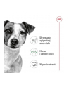 ROYAL CANIN SHN Mini Adult BF 8kg - nr 6