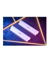 crucial Pamięć DDR5 Pro Overclocking 32/6000(2*16GB) CL36 biała - nr 6
