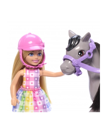 Mattel Barbie Family ' Friends Chelsea and Pony Doll nr 2