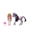 Mattel Barbie Family ' Friends Chelsea and Pony Doll - nr 25