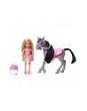 Mattel Barbie Family ' Friends Chelsea and Pony Doll - nr 19