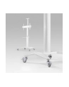 gembird Stojak Aluminiowy pod telewizor mobilny biały 37-70 cali - nr 11