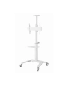 gembird Stojak Aluminiowy pod telewizor mobilny biały 37-70 cali - nr 5