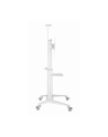 gembird Stojak Aluminiowy pod telewizor mobilny biały 37-70 cali - nr 7