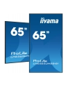 iiyama Monitor 65 cali LH6565UHSB-B1, 24/7, IPS, ANDROID11, 4K, 800cd - nr 75
