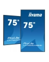 iiyama Monitor 75 cali LH7565UHSB-B1, 24/7, IPS, ANDROID 11, 4K, 800cd - nr 82