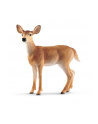 Schleich 14819 Mulak białoogonowy - nr 1