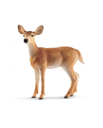Schleich 14819 Mulak białoogonowy
