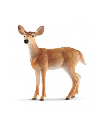 Schleich 14819 Mulak białoogonowy