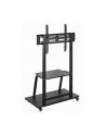 gembird Stojak pod telewizor 37-100 cali na kółkach - nr 7