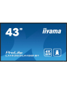 iiyama Monitor 43 cale LH4365UHSB-B1 24/7, IPS, ANDROID 11, 4K, 800cd - nr 1