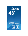 iiyama Monitor 43 cale LH4365UHSB-B1 24/7, IPS, ANDROID 11, 4K, 800cd - nr 64