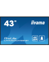 iiyama Monitor 43 cale LH4365UHSB-B1 24/7, IPS, ANDROID 11, 4K, 800cd - nr 79