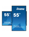 iiyama Monitor 55 cali LH5565UHSB-B1, 24/7, IPS, ANDROID 11, 4K, 800cd - nr 83
