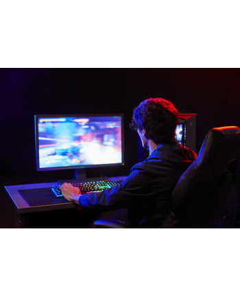 kingston Pamięć DDR5 Fury Beast 16GB(1*16GB)/6000 CL30 EXPO czarna nr 2