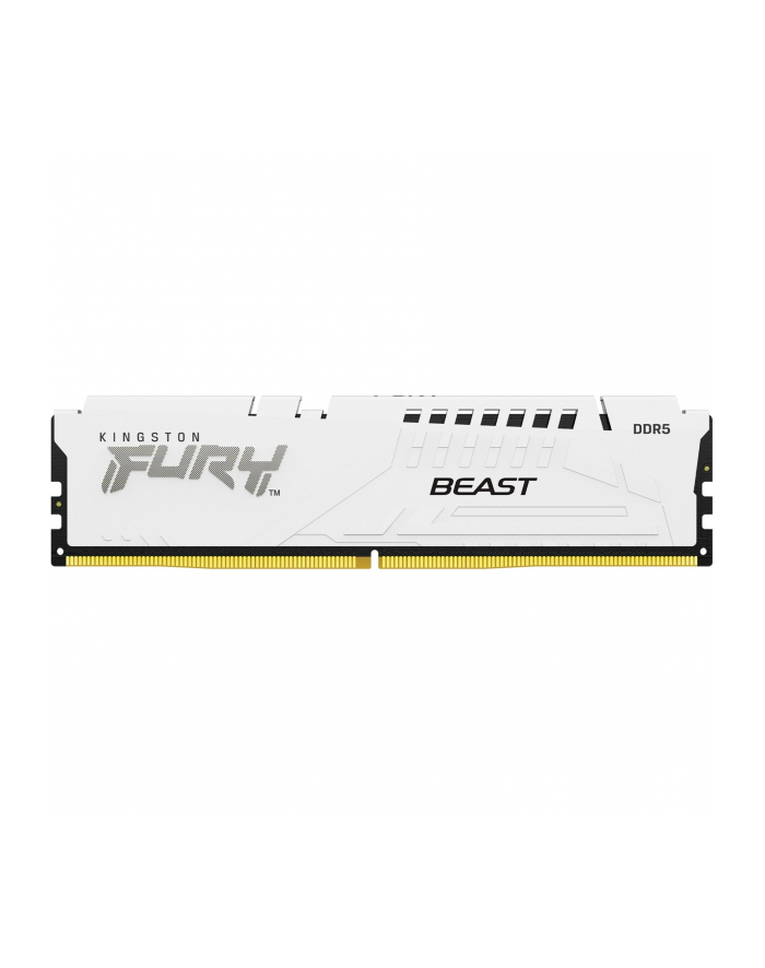 kingston Pamięć DDR5 Fury Beast 16GB(1*16GB)/6000 CL30 EXPO biała główny