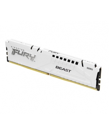 kingston Pamięć DDR5 Fury Beast 16GB(1*16GB)/6800 CL34 EXPO biała