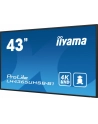 iiyama Monitor 43 cale LH4365UHSB-B1 24/7, IPS, ANDROID 11, 4K, 800cd - nr 17