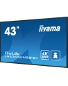 iiyama Monitor 43 cale LH4365UHSB-B1 24/7, IPS, ANDROID 11, 4K, 800cd - nr 56