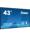 iiyama Monitor 43 cale LH4365UHSB-B1 24/7, IPS, ANDROID 11, 4K, 800cd - nr 62