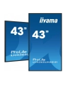 iiyama Monitor 43 cale LH4365UHSB-B1 24/7, IPS, ANDROID 11, 4K, 800cd - nr 64