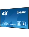 iiyama Monitor 43 cale LH4365UHSB-B1 24/7, IPS, ANDROID 11, 4K, 800cd - nr 66