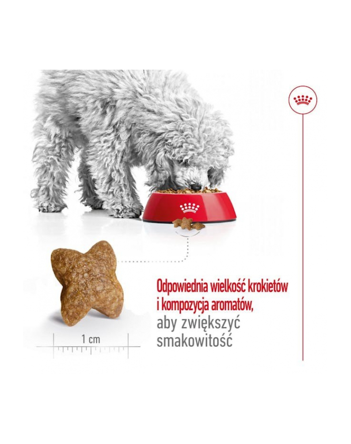 Royal Canin SHN Mini Adult 4kg główny