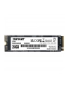 patriot memory SSD Patriot Viper P320 M2 PCI-Ex4 NVMe 256GB 22GB/s - nr 10
