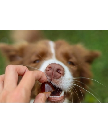 contipro GELOREN Small Dog Suplement dla psa  - 180g nr 1