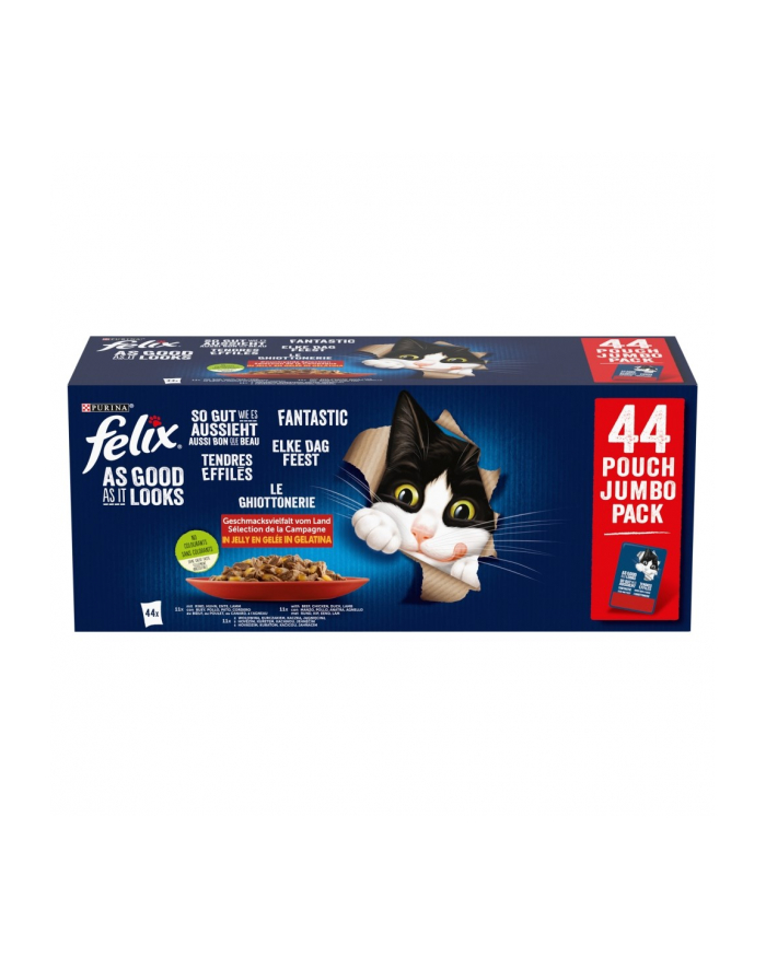 purina nestle PURINA FELIX AGAIL GiJ MV Bf 44x85g główny