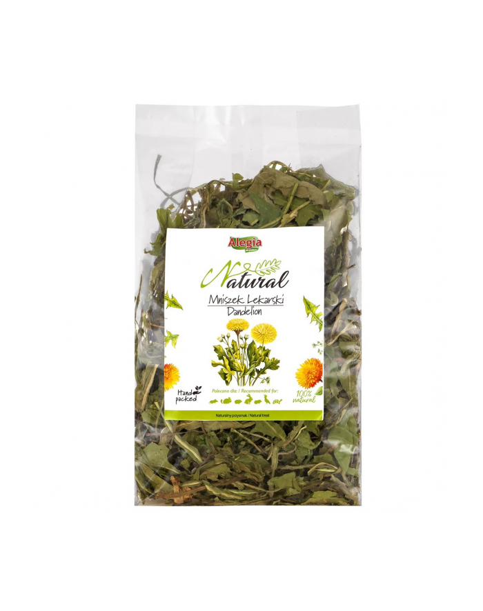 ALEGIA Natural Mniszek Lekarski 90g główny