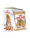 ROYAL CANIN BHN Yorkshire 12x85g - nr 1