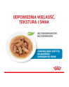 ROYAL CANIN SHN Maxi Puppy w sosie 10X140G - nr 4