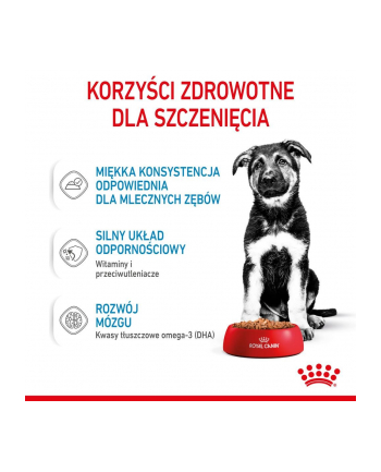 ROYAL CANIN SHN Maxi Puppy w sosie 10X140G nr 2