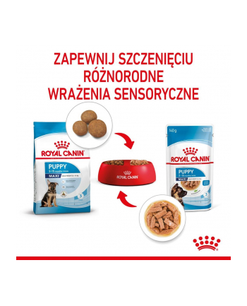 ROYAL CANIN SHN Maxi Puppy w sosie 10X140G nr 1