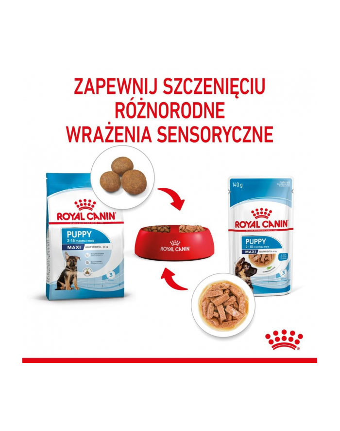 ROYAL CANIN SHN Maxi Puppy w sosie 10X140G główny