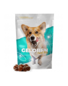 contipro GELOREN Small Dog Suplement dla psa  - 180g - nr 1