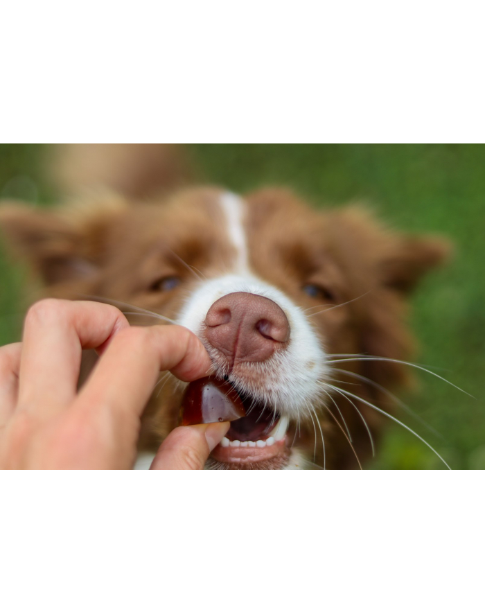 contipro GELOREN Small Dog Suplement dla psa  - 180g główny