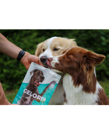 contipro GELOREN Large Dog Suplement dla psa  - 420g nr 1